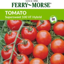 Tomato Supersweet 100 VF Hybrid 7 Tomato Supersweet 100 VF Hybrid -Roundup Sales Store Screenshot 2024 01 16 135218