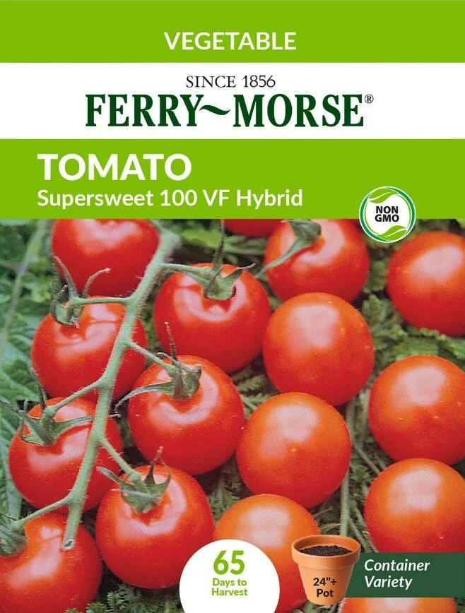 Tomato Supersweet 100 VF Hybrid 5 Tomato Supersweet 100 VF Hybrid - Image 3