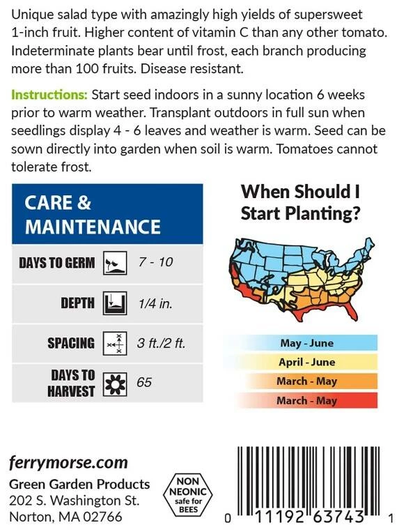 Tomato Supersweet 100 VF Hybrid 3 Tomato Supersweet 100 VF Hybrid