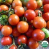 Tomato Sweetie Organic