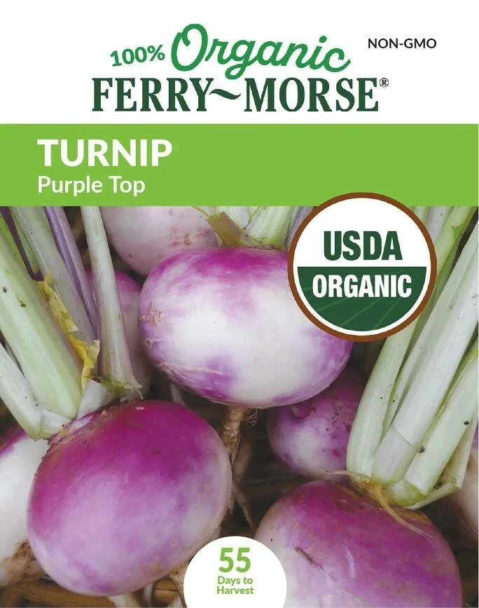 Turnip Purple Top Organic 5 Turnip Purple Top Organic - Image 3