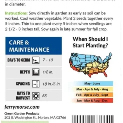 Turnip Purple Top Organic