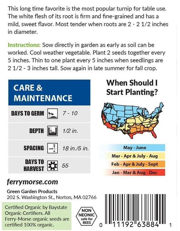 Turnip Purple Top Organic 3 Turnip Purple Top Organic