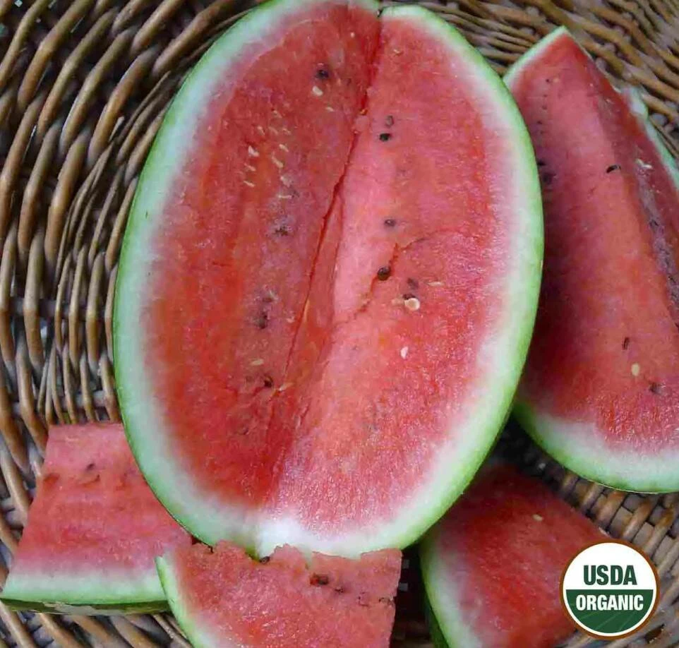 Watermelon Allsweet Organic 4 Watermelon Allsweet Organic - Image 2