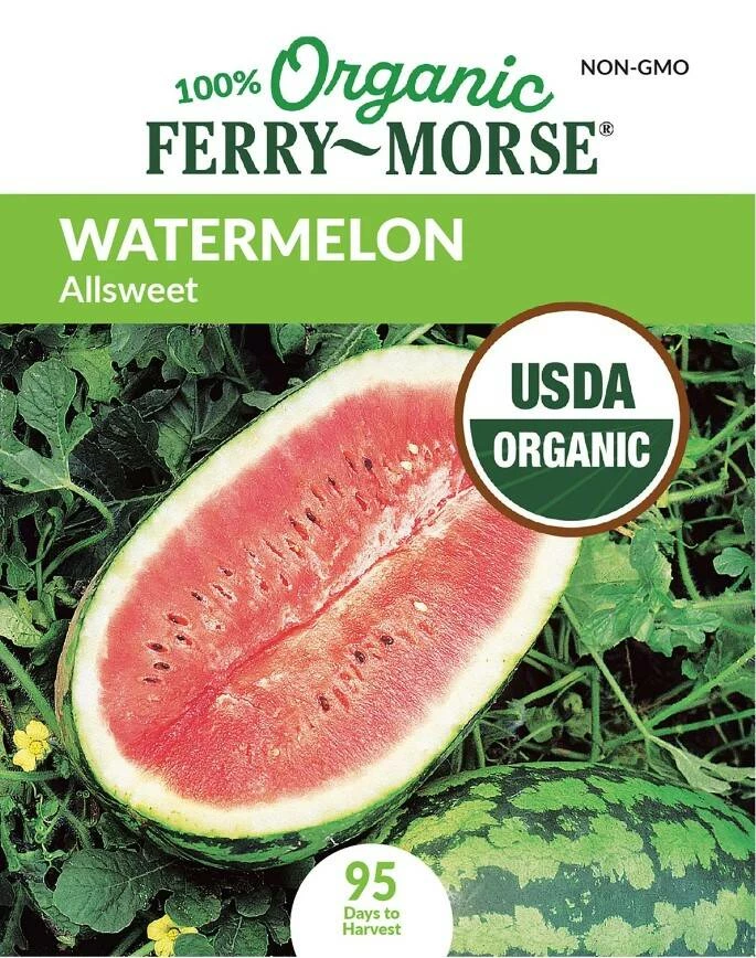 Watermelon Allsweet Organic 5 Watermelon Allsweet Organic - Image 3