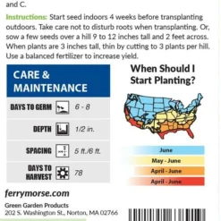 Watermelon Sugar Baby Organic