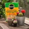 8-Quart Cactus Palm & Citrus Potting Mix 1 8-Quart Cactus Palm & Citrus Potting Mix -Roundup Sales Store cactus 1