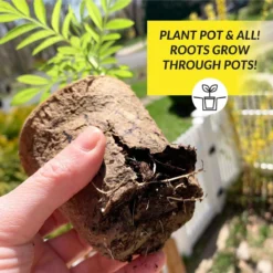 4-Inch Round Fiber Pots, 7-Count 9 4-Inch Round Fiber Pots, 7-Count -Roundup Sales Store fr407c