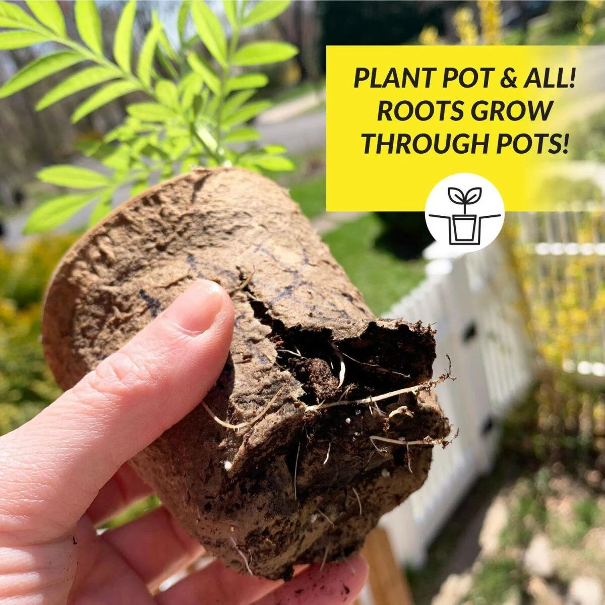 4-Inch Round Fiber Pots, 7-Count 5 4-Inch Round Fiber Pots, 7-Count - Image 3