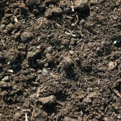 Bulk Mushroom Compost Per Scoop