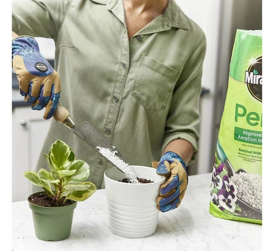 8-Quart Perlite 5 8-Quart Perlite - Image 3