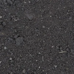 Bulk Top Soil, Per Scoop